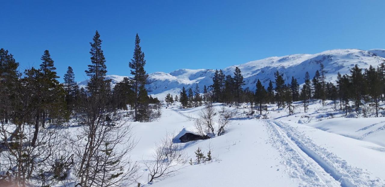 Stalheim Fjord Og Fjellhytter Экстерьер фото